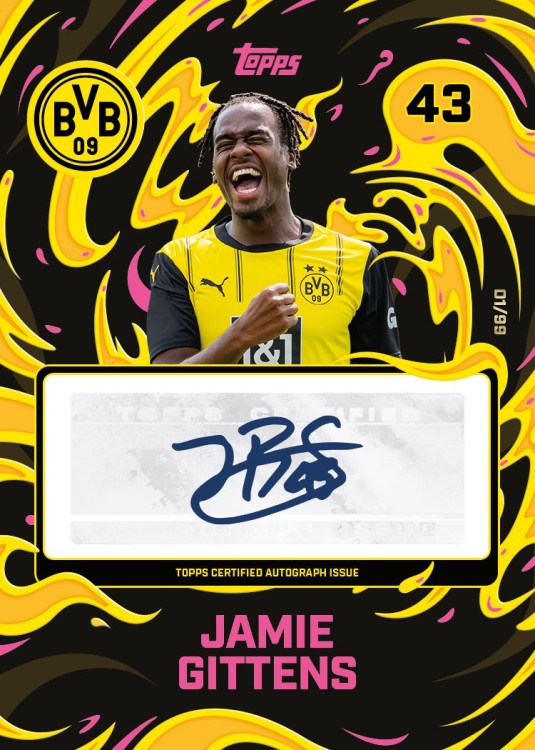 team set bvb_3.jpg